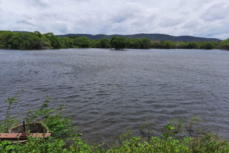 WhatsApp Image 2024-06-07 at 11.13.50 (1)