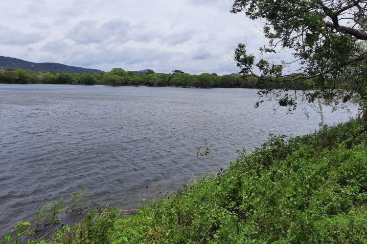 WhatsApp Image 2024-06-07 at 11.13.50