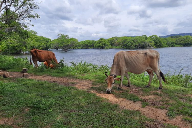 WhatsApp Image 2024-06-07 at 11.13.51 (1)