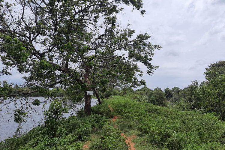 WhatsApp Image 2024-06-07 at 11.13.51