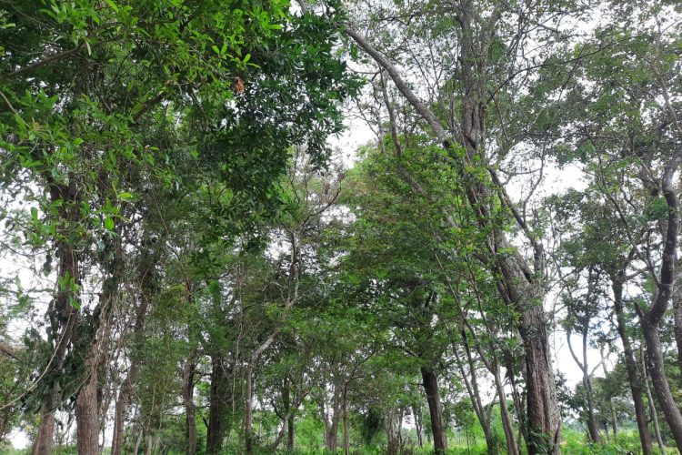 WhatsApp Image 2024-06-07 at 12.04.23 (4)