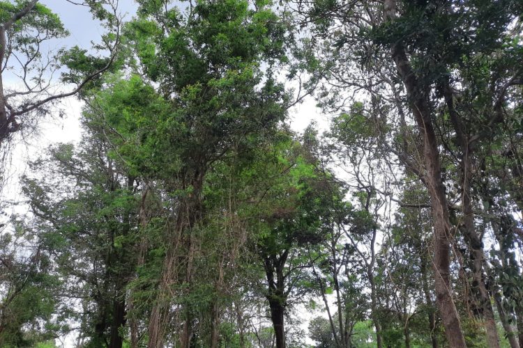 WhatsApp Image 2024-06-07 at 12.04.23 (5)