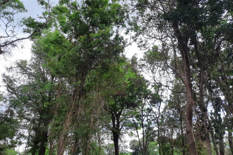 WhatsApp Image 2024-06-07 at 12.04.23 (6)